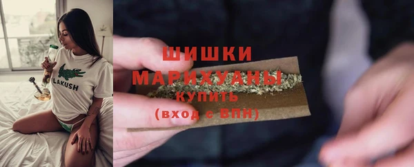 spice Пестово