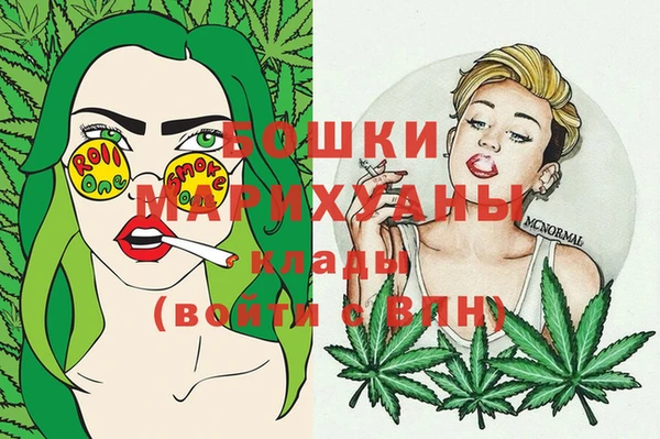 spice Пестово