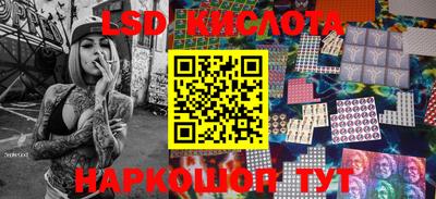 шишки Славгород