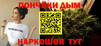 PSILOCYBIN Севастополь