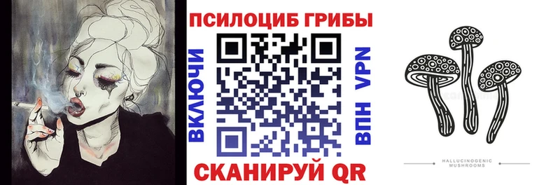 Псилоцибиновые грибы Psilocybe  Солнечногорск 