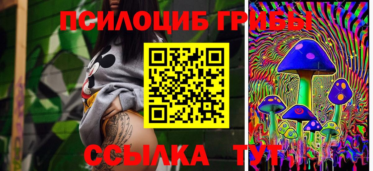Солнечногорск  Галлюциногенные грибы Psilocybe  Вход с VPN 